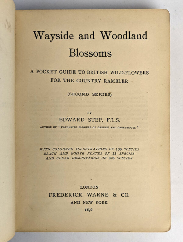 Wayside and Woodland Blossoms (Second Series) - Image 2