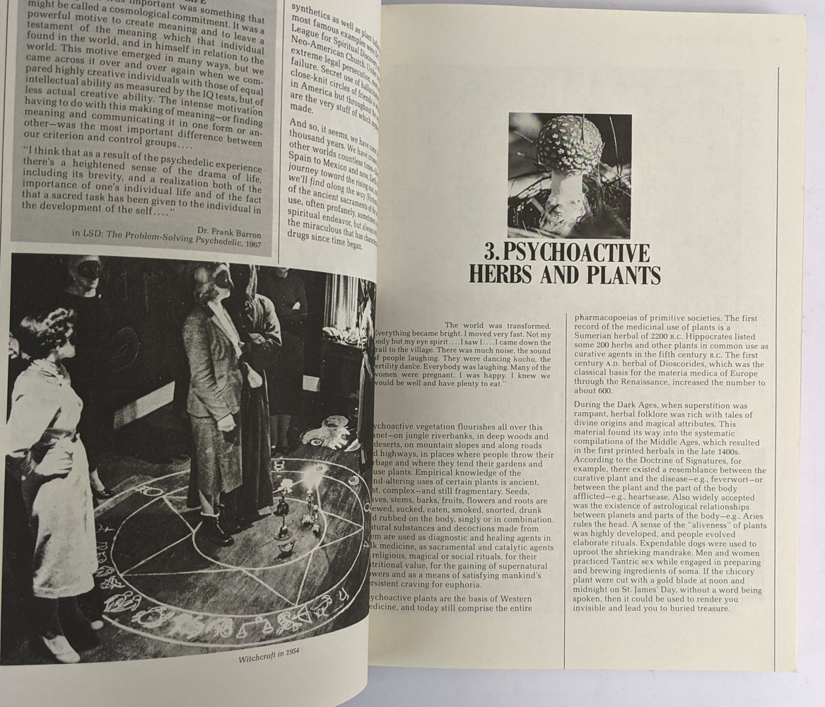 High Times Encyclopedia of Recreational Drugs - The Book Merchant