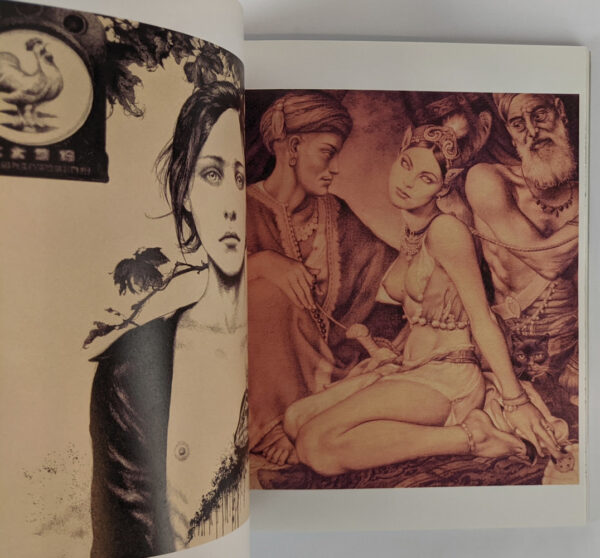 All Allure - Image 7