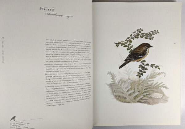 Birds of Tasmania - Image 3