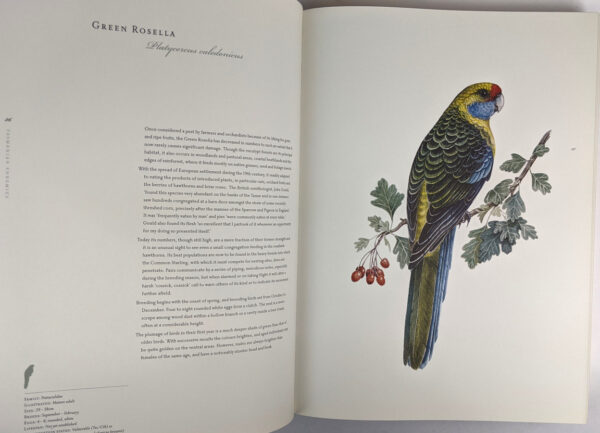 Birds of Tasmania - Image 4