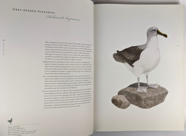 Birds of Tasmania - Image 5