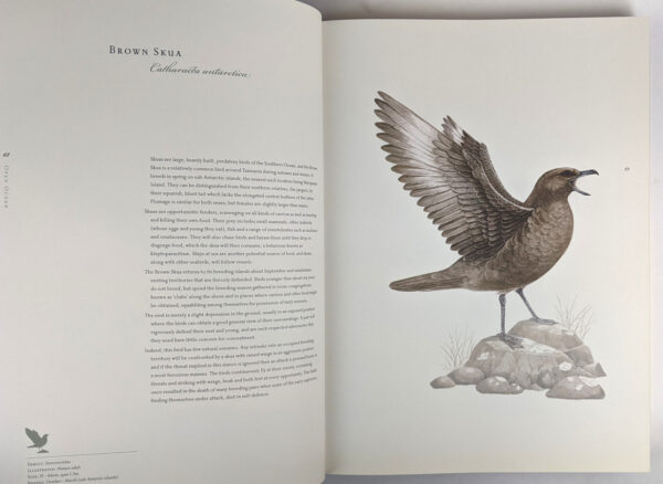 Birds of Tasmania - Image 6