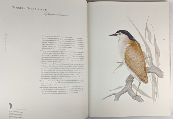 Birds of Tasmania - Image 7