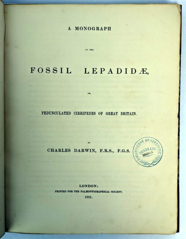 A Monograph on the Fossil Lepadidae, or Pedunculated Cirripedes of Great Britain. [and] A Monograph on the Fossil Balandiae & Verrucidae - Image 2