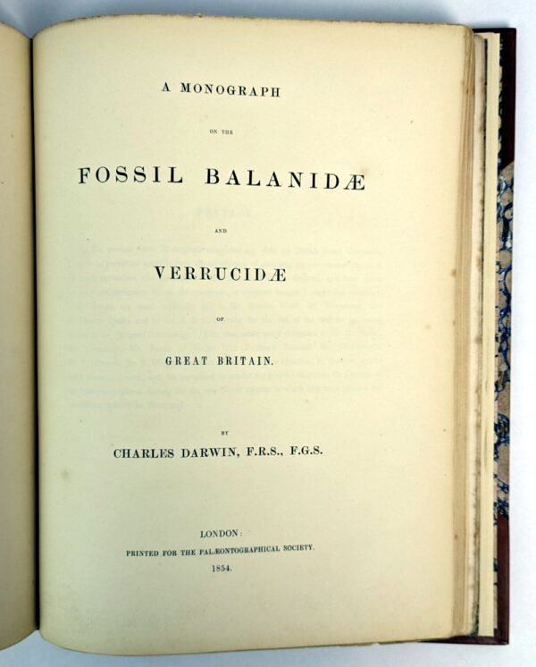A Monograph on the Fossil Lepadidae, or Pedunculated Cirripedes of Great Britain. [and] A Monograph on the Fossil Balandiae & Verrucidae - Image 8