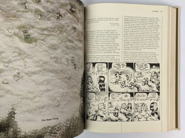 High Times Encyclopedia of Recreational Drugs - Image 2