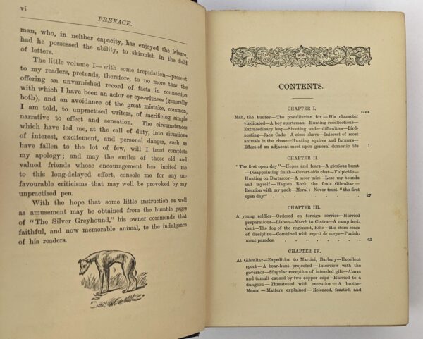 The Silver Greyhound - Image 2