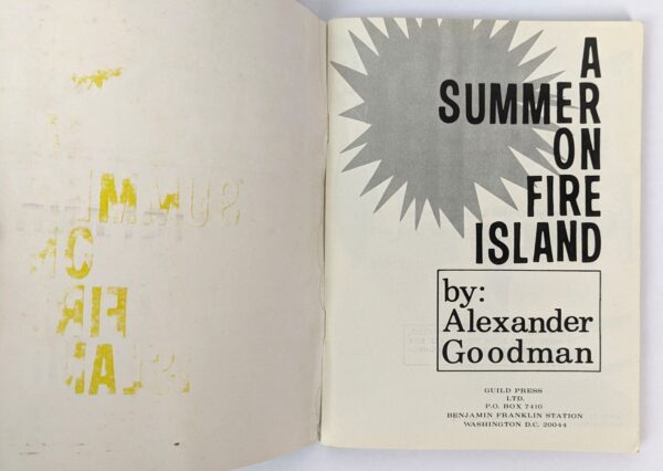 A Summer on Fire Island - Image 2
