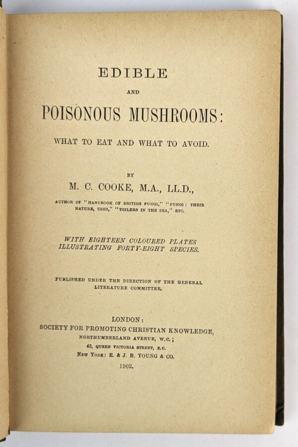 Edible and Poisonous Mushrooms: What to Eat and What to Avoid - Image 2