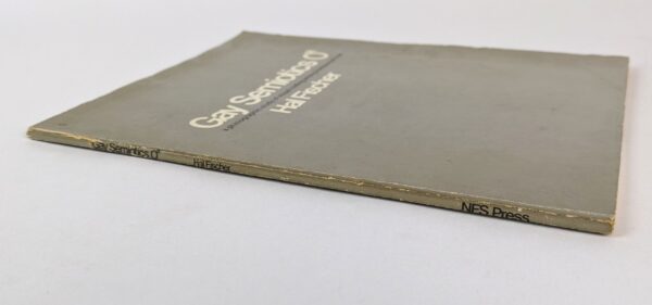 Gay Semiotics: A Photographic Study of Visual Coding Among Homosexual Men - Image 5
