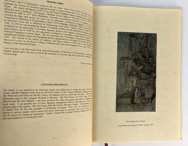 Obstetrics and Gynaecology in Ancient and Modern Egypt - Image 2