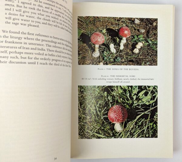 Soma: Divine Mushroom of Immortality - Image 3