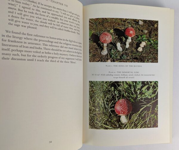 Soma: Divine Mushroom of Immortality - Image 2