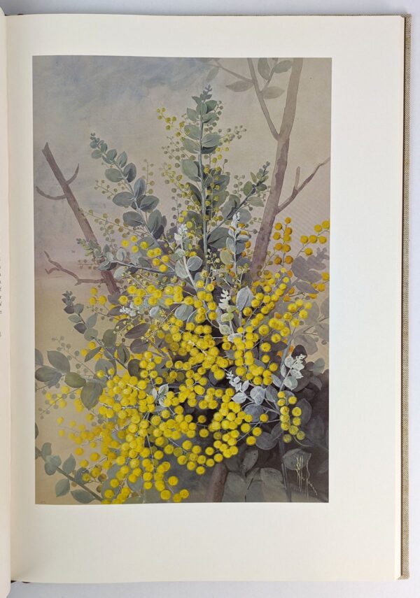 Flower Paintings of Ellis Rowan from the Collection of the National Library of Australia - Image 2