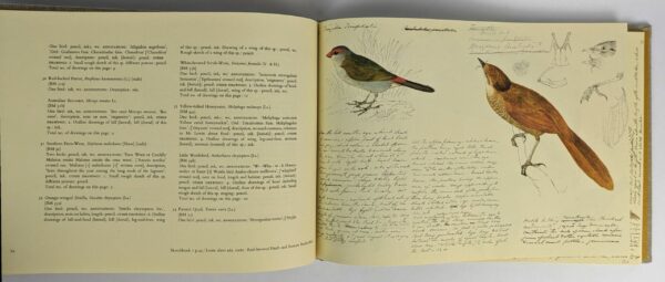 John Cotton's Birds of the Port Phillip District of New South Wales, 1834-1849 - Image 3