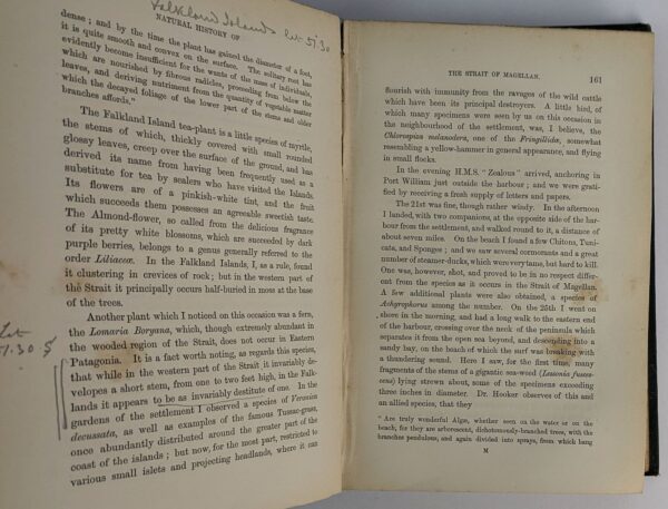 Notes on the Natural History of the Strait of Magellan and West Coast of Patagonia - Image 4
