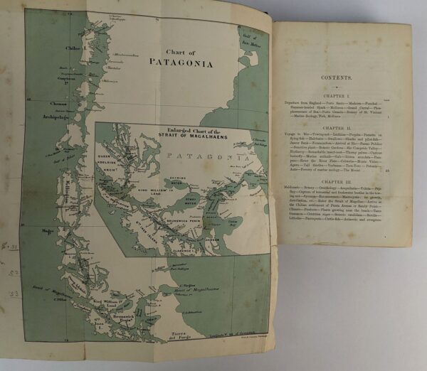 Notes on the Natural History of the Strait of Magellan and West Coast of Patagonia - Image 7