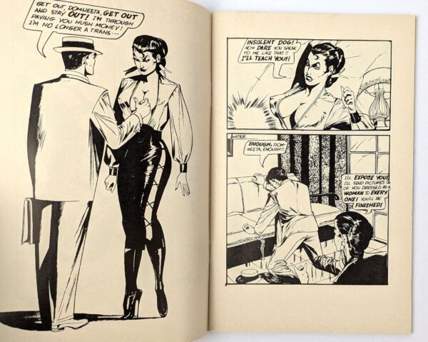 Forced Femininity - Image 2