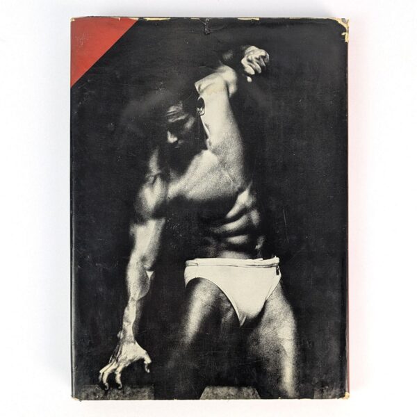 Young Samurai: Bodybuilders of Japan - Image 2