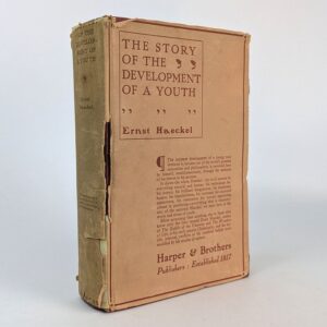 The Story of the Development of a Youth