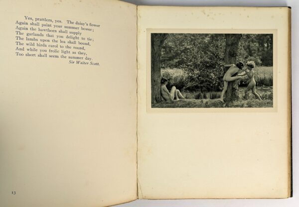 The Garden of Adonis - Image 4