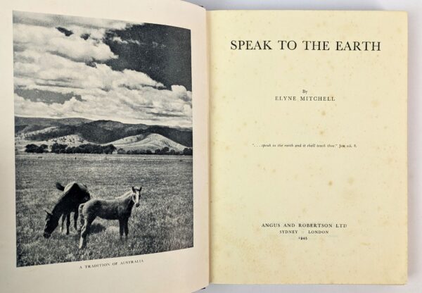 Speak to the Earth - Image 2