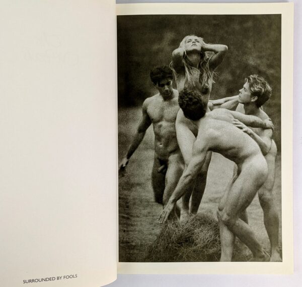 The Woods - Image 2