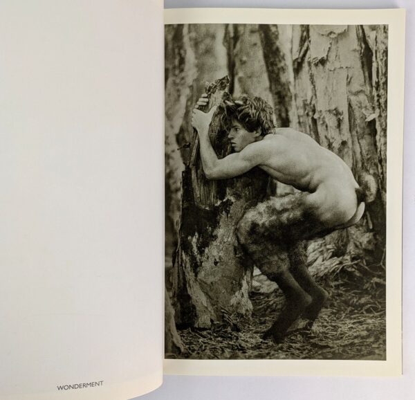 The Woods - Image 3