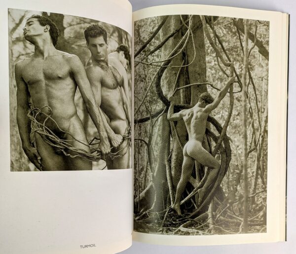 The Woods - Image 4