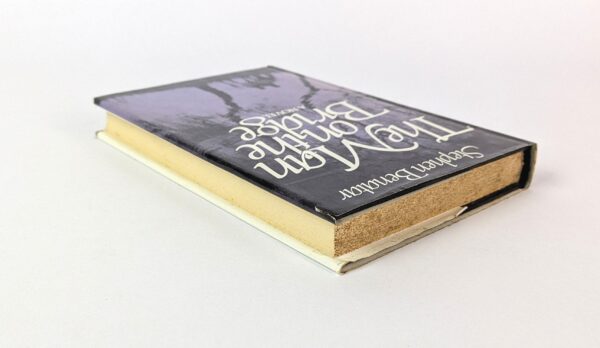 The Man on the Bridge - Image 2