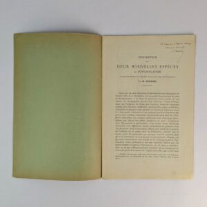 Description de Deux Nouvelles Especes de Ptychogaster et nouvelle preuve de l'identite de ce genre avec les Polyporus