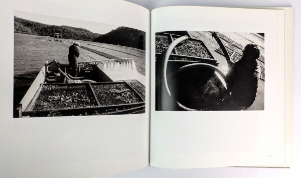 The Language of Oysters - Image 5