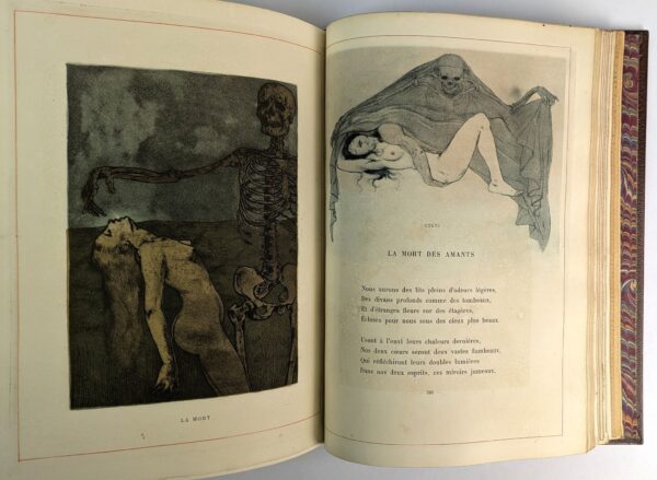 Les Fleurs du Mal - Image 15