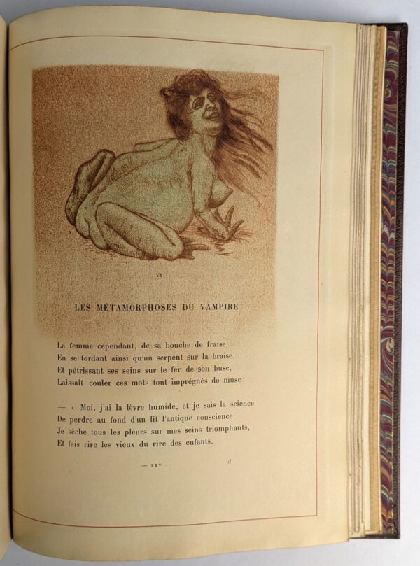 Les Fleurs du Mal - Image 12
