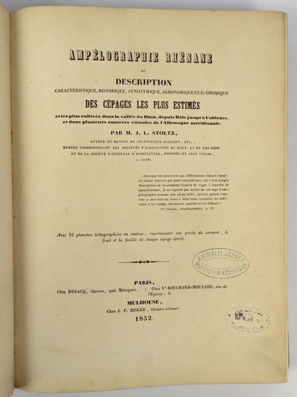 Ampelographie Rhenane ou Description Caracteristique, Historique, Synonymique, Agronomique et Economique des Cepages les Plus Estimes - Image 2
