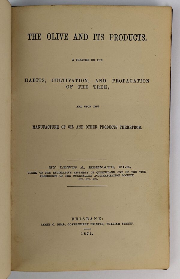 The Olive and Its Products - Image 2