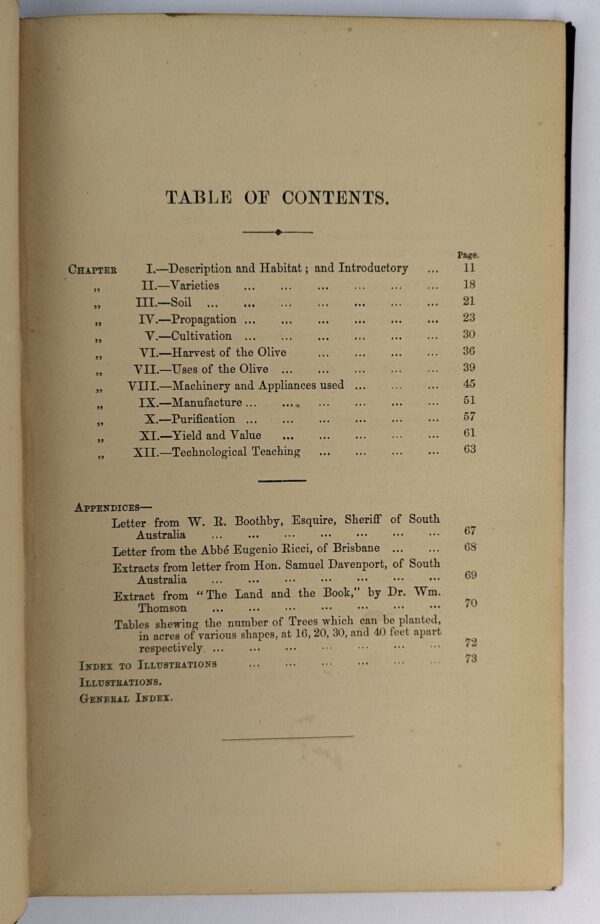 The Olive and Its Products - Image 3