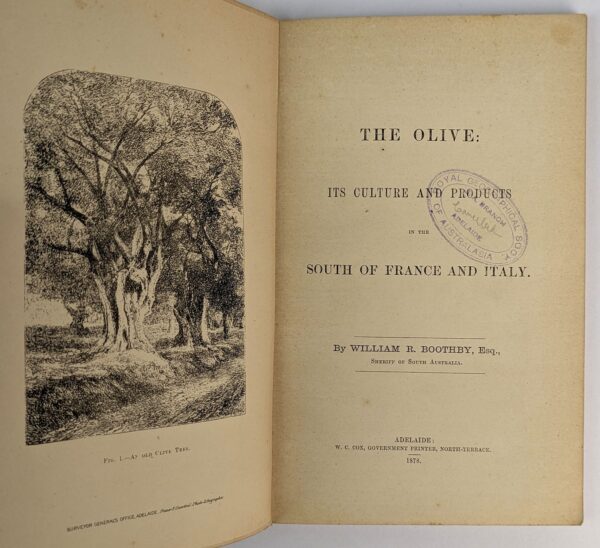 The Olive: Its Culture and Products in the South of France and Italy - Image 2