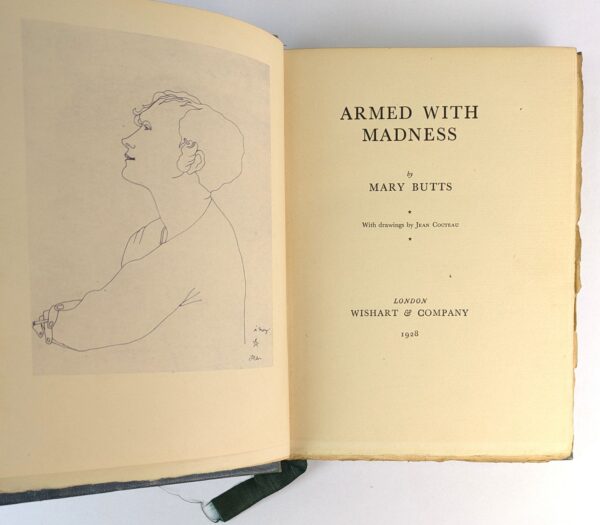 Armed with Madness - Image 2