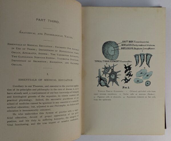 The Philosophy of Physiomedicalism: Its Theorem, Corollary, and Laws of Application for the Cure of Disease - Image 3