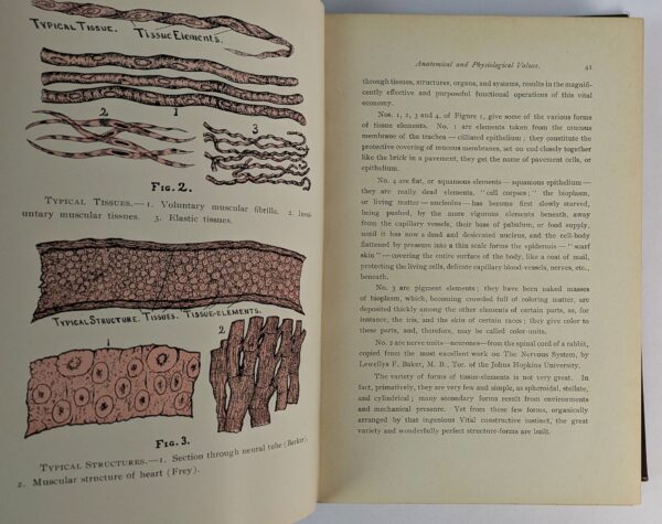 The Philosophy of Physiomedicalism: Its Theorem, Corollary, and Laws of Application for the Cure of Disease - Image 4