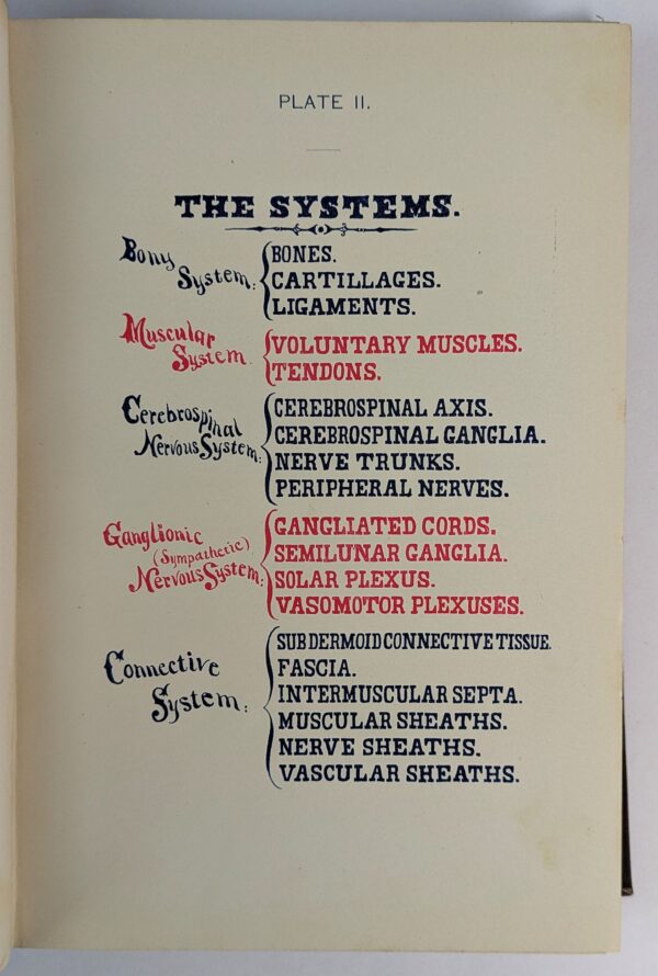 The Philosophy of Physiomedicalism: Its Theorem, Corollary, and Laws of Application for the Cure of Disease - Image 5
