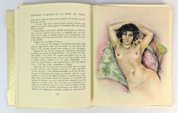Histoire d'Amour de la Rose de Sable - Image 3
