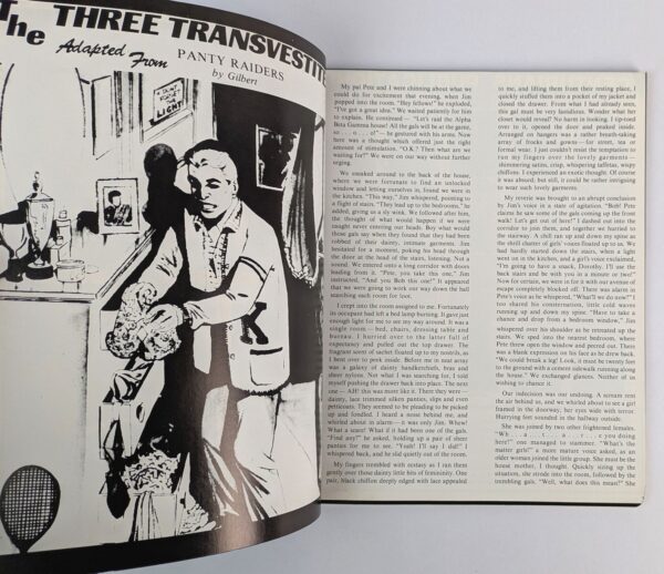 The Three Transvestites [Panty Raiders] - Image 2