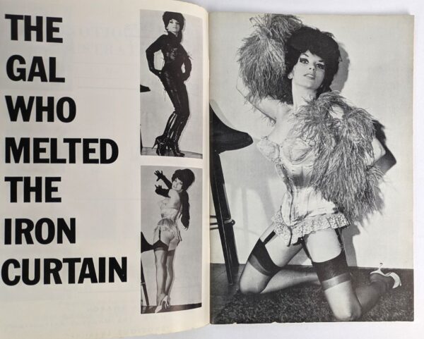 Exotique Illustrated Vol. 1 No. 1 - Image 3