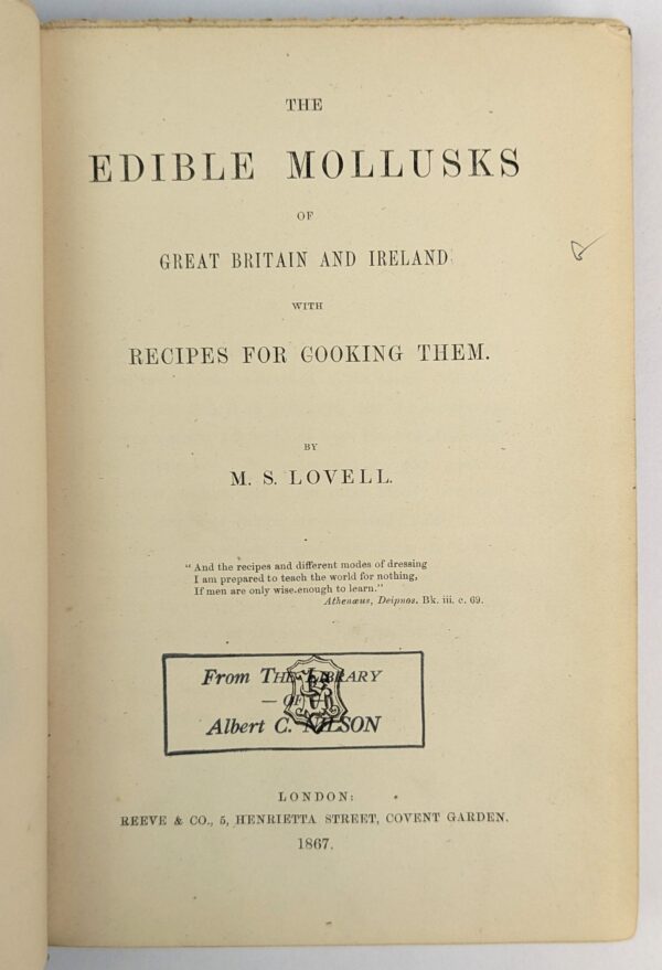 The Edible Mollusks of Great Britain and Ireland with Recipes for Cooking Them - Image 2