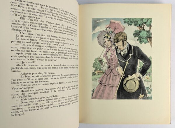 Madame Bovary: Moeurs de Province - Image 3
