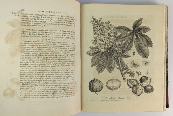 Silva: or, A Discourse of Forest-Trees, and the Propagation of Timber in his Majesty's Dominions: .. - Image 5