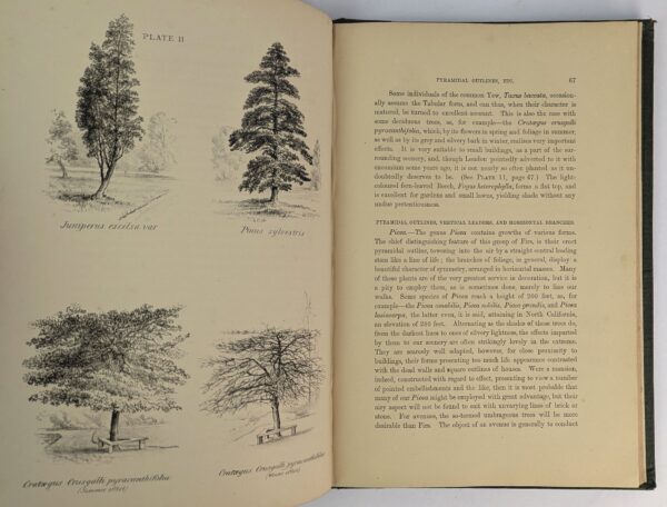 The Natural Principles of Landscape Gardening: or the Adornment of Land for Perpetual Beauty - Image 4
